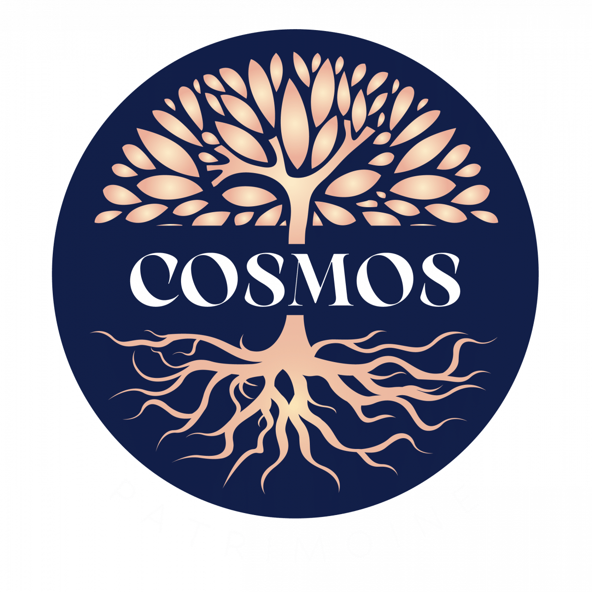 Logo Cosmos patrimoine